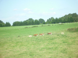 20110813_220 20110813_220