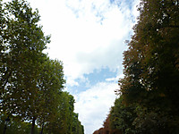 20110813_683 20110813_683