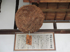 300073_203010896437909_100001869991